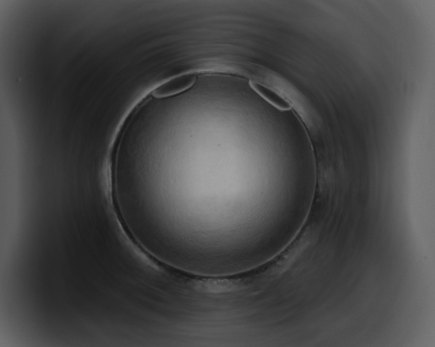 X0000100781092200806191257