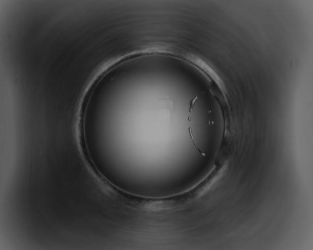 X0000100781093200806191257