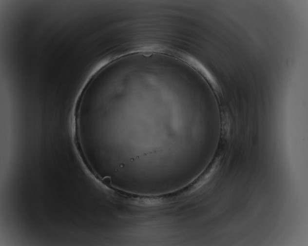 X0000100781095200806191257