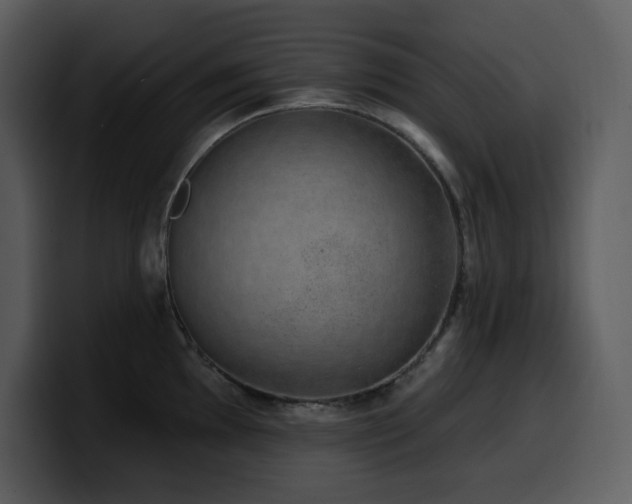 X0000100781097200806191257