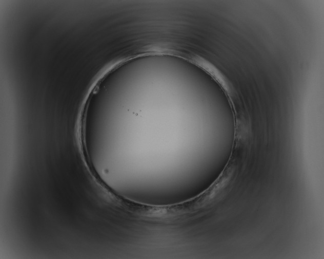 X0000100781098200806191257