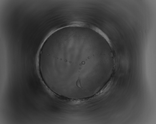 X0000100781099200806191257