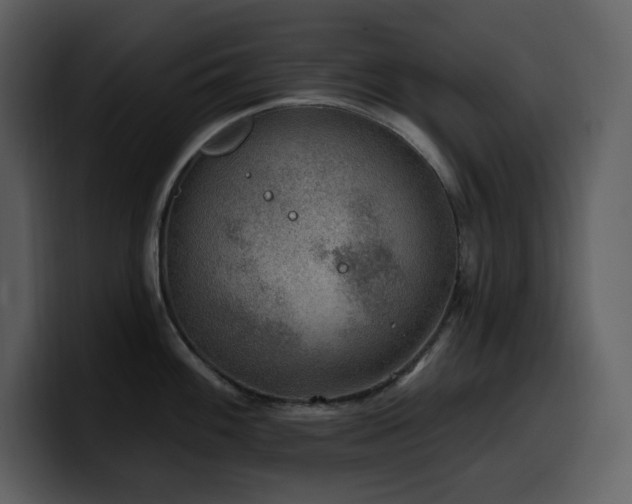 X0000100781100200806191257