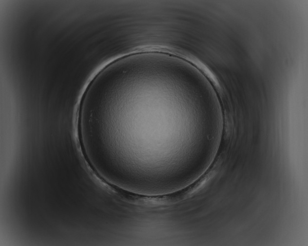 X0000100781102200806191257