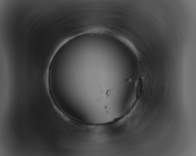 X0000100781103200806191257