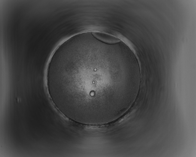 X0000100781104200806191257