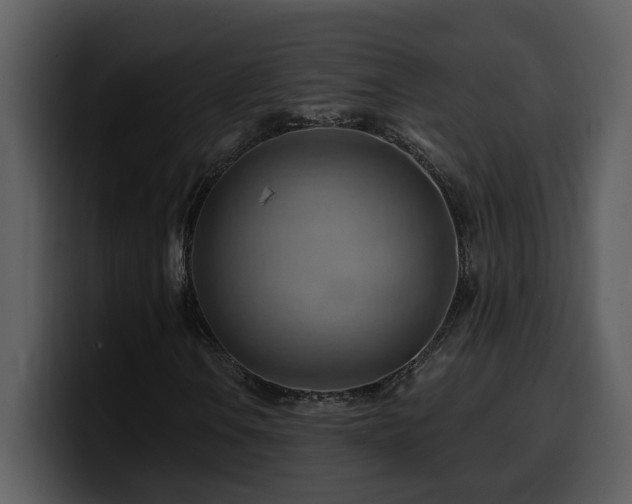 X0000100781106200806191256