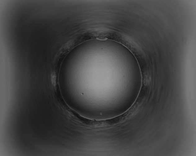 X0000100781108200806191256