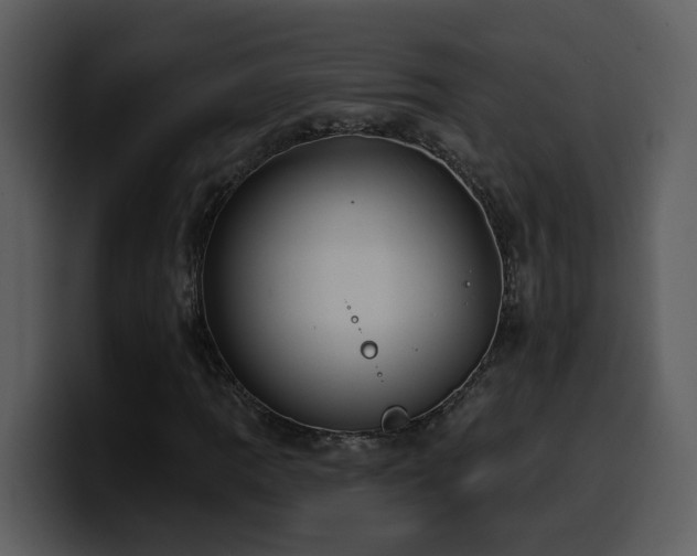 X0000100781109200806191256