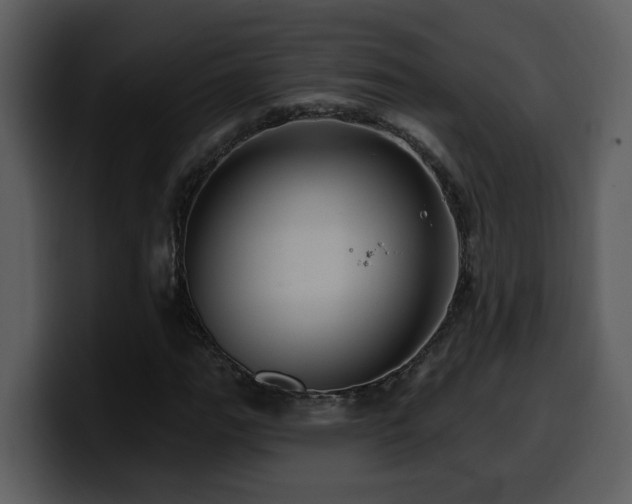 X0000100781111200806191256