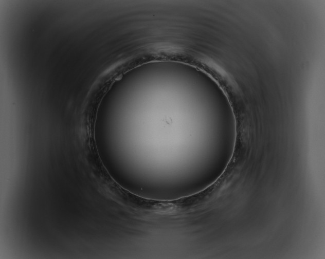 X0000100781112200806191256