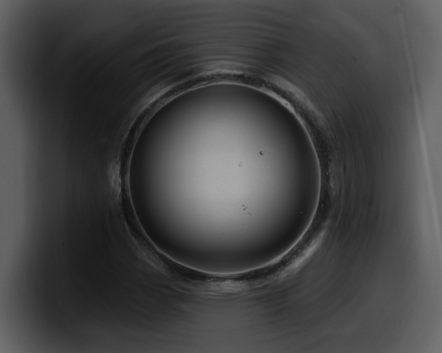 X0000100781113200806191256