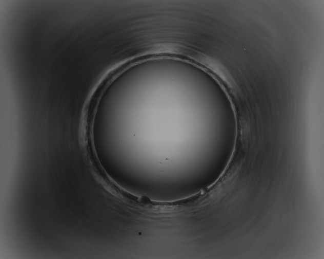 X0000100781116200806191257