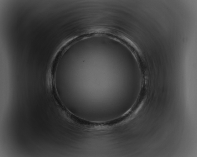 X0000100781117200806191257