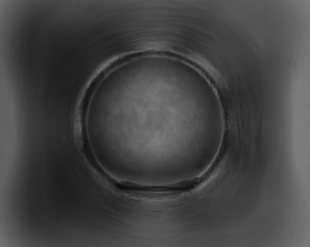 X0000100781118200806191257