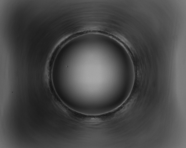 X0000100781119200806191257