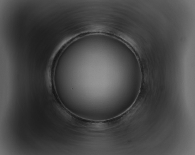 X0000100781120200806191257