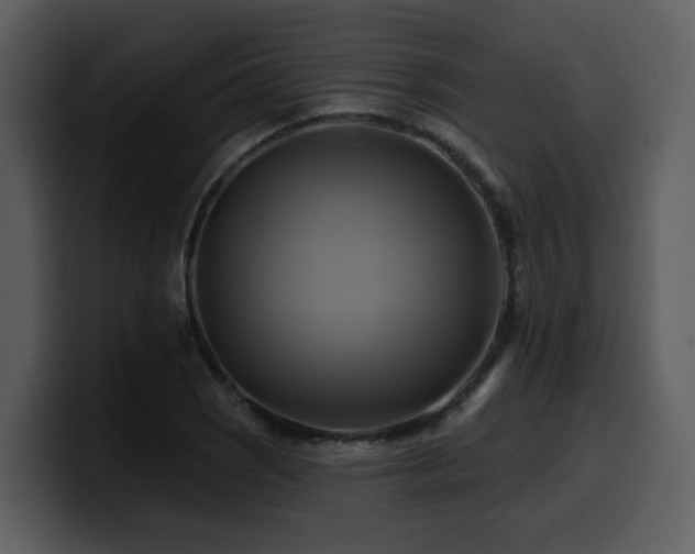 X0000100781121200806191257