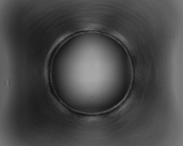 X0000100781122200806191257