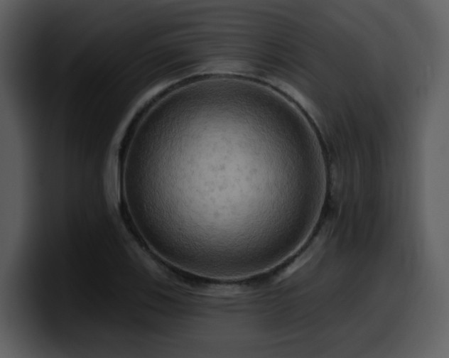 X0000100781123200806191257