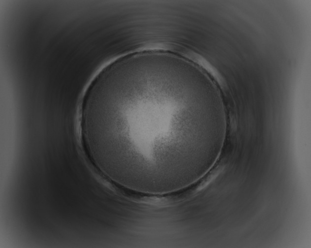 X0000100781124200806191257