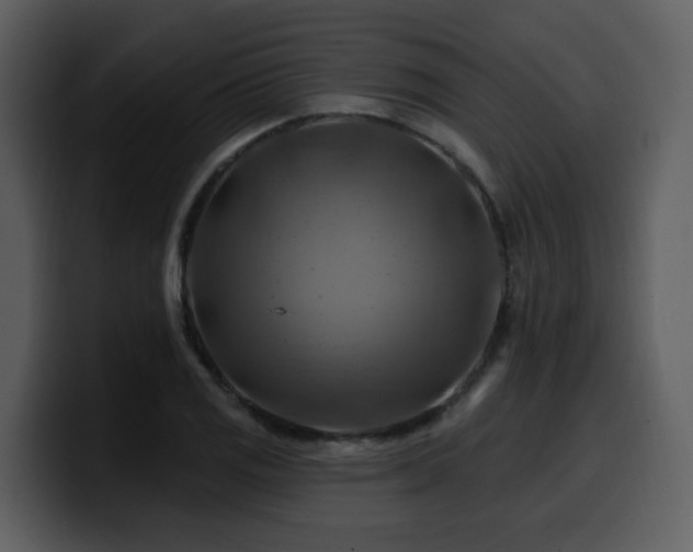 X0000100781125200806191257