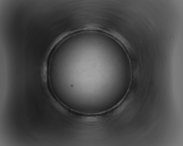 X0000100781126200806191257