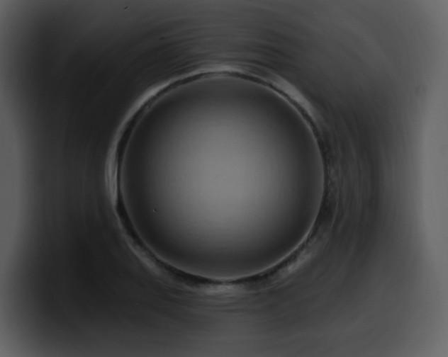 X0000100781127200806191257