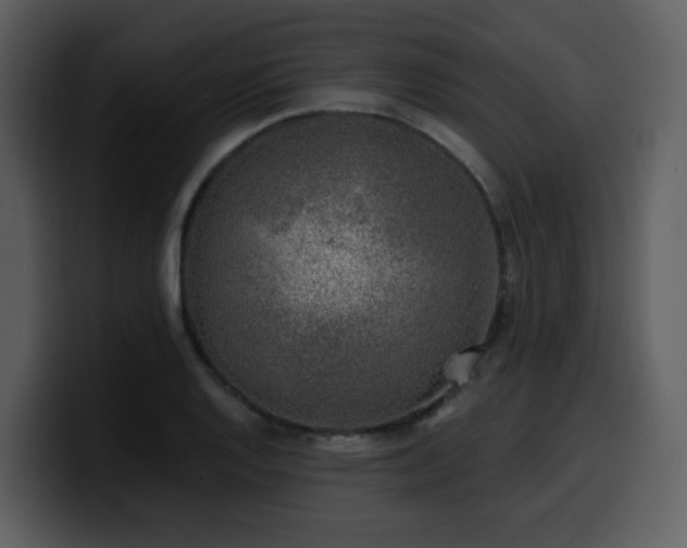 X0000100781128200806191257