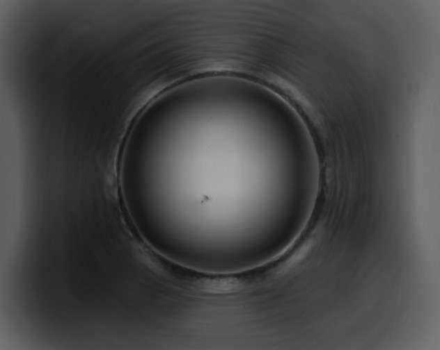 X0000100781129200806191257