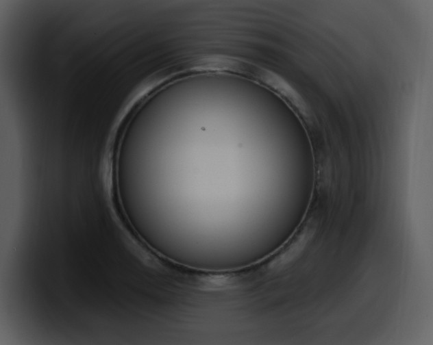 X0000100781130200806191257