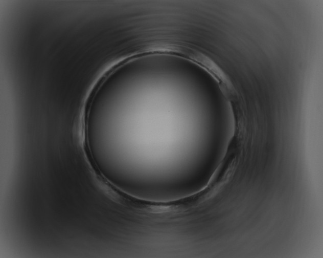 X0000100781132200806191257