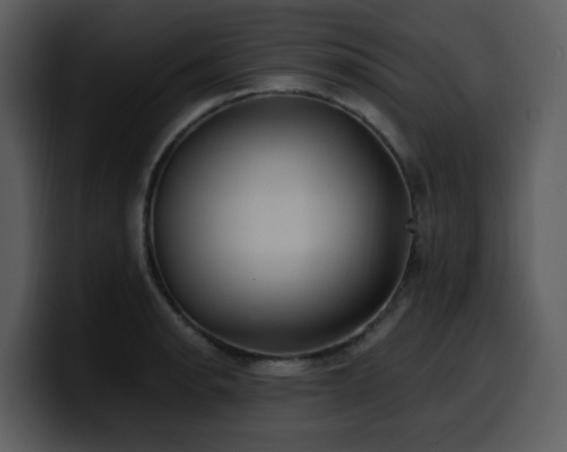 X0000100781134200806191257