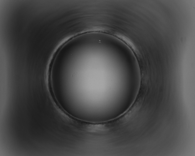 X0000100781135200806191257