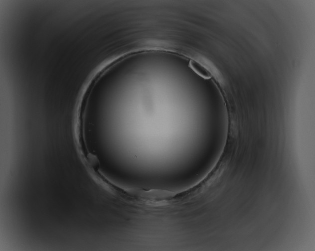 X0000100781136200806191257