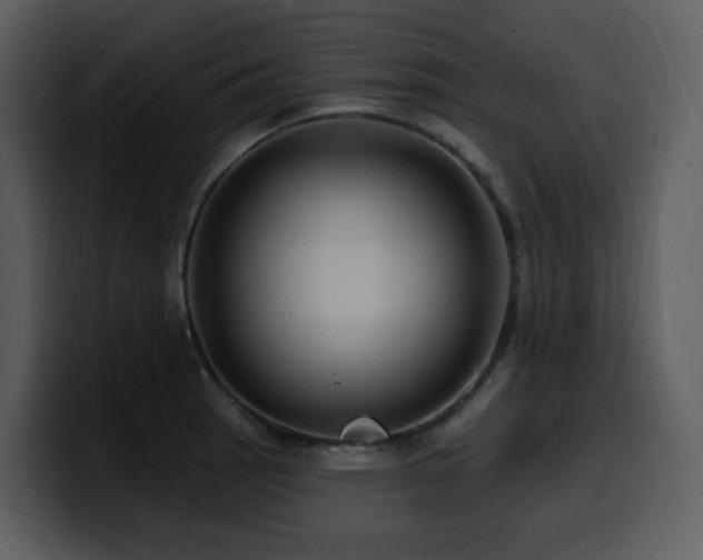 X0000100781137200806191257