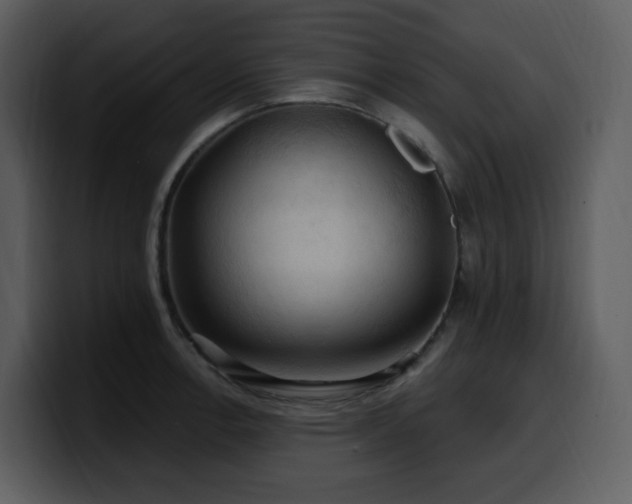 X0000100781138200806191257