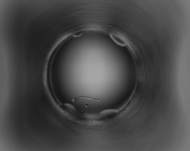 X0000100781139200806191257