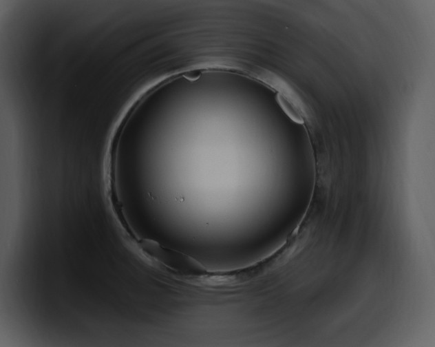 X0000100781140200806191257