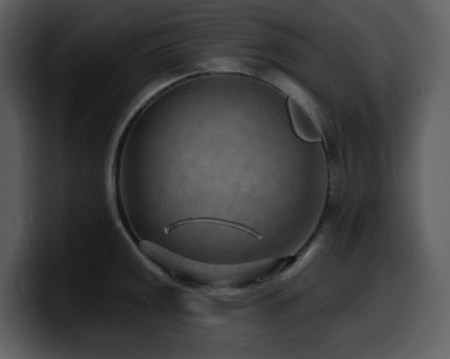 X0000100781141200806191257