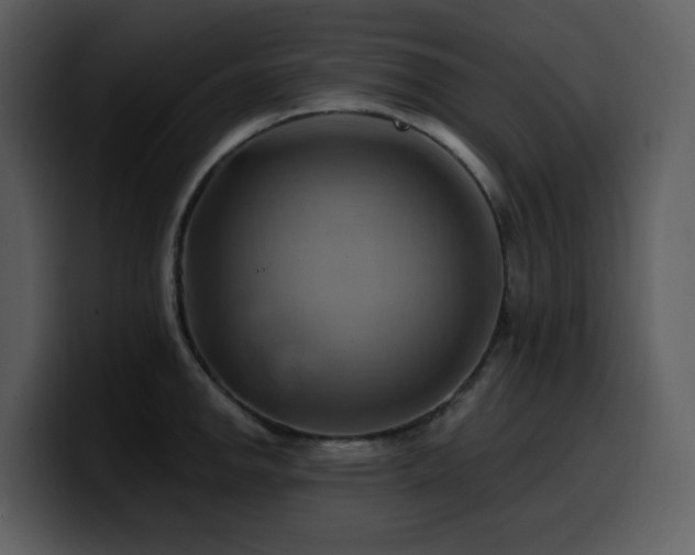 X0000100781142200806191257