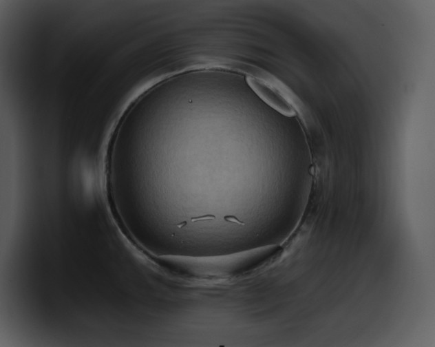 X0000100781143200806191257