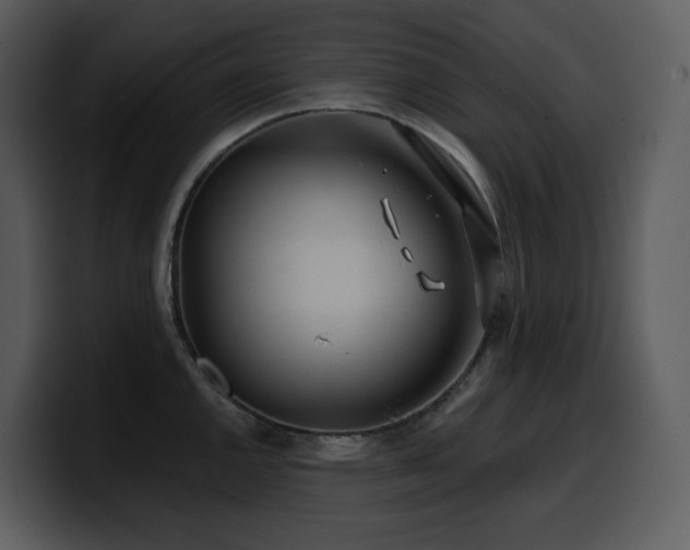 X0000100781144200806191257