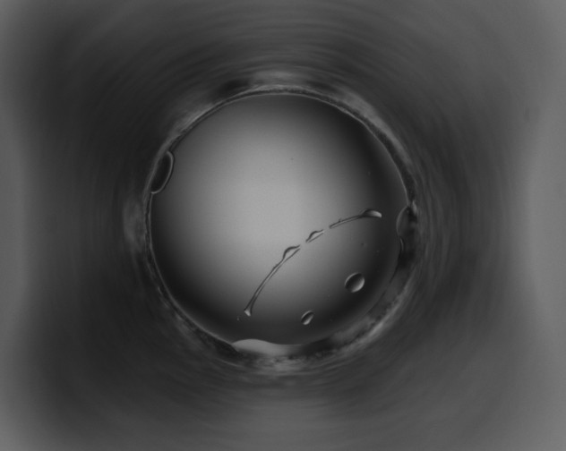 X0000100781145200806191257