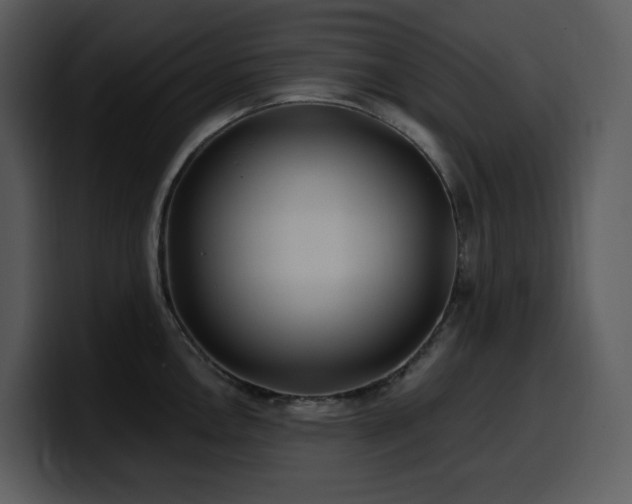 X0000100781146200806191257