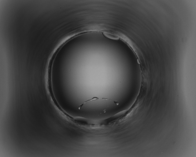 X0000100781147200806191257