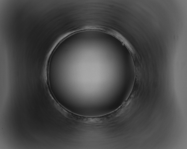 X0000100781148200806191257