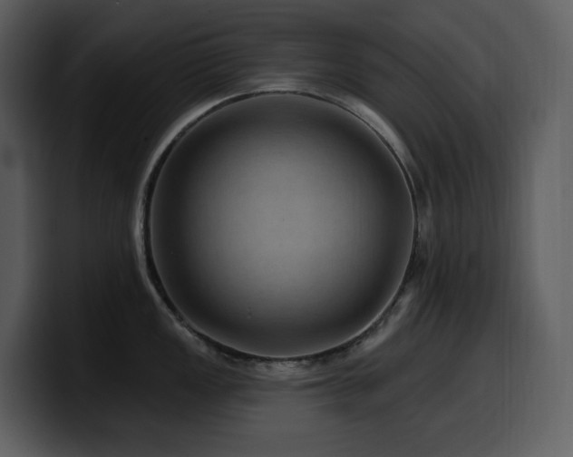 X0000100781149200806191257