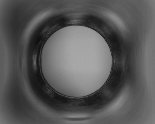 X0000100781150200806191257