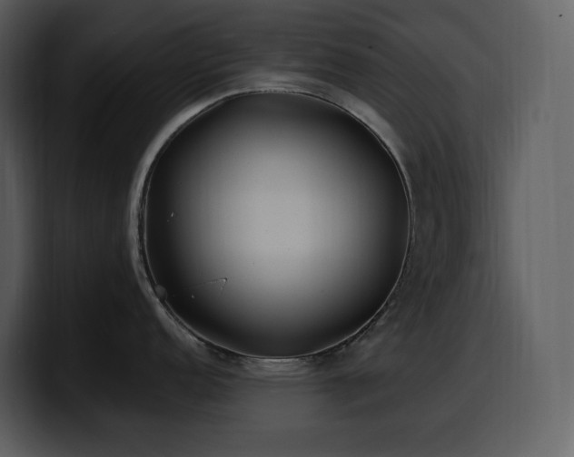 X0000100781152200806191257